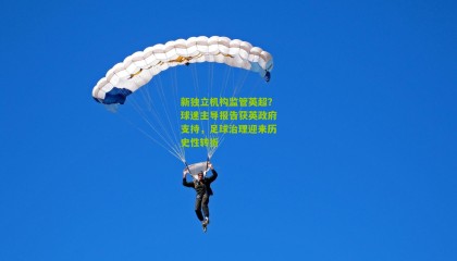 新独立机构监管英超？球迷主导报告获英政府支持，足球治理迎来历史性转折